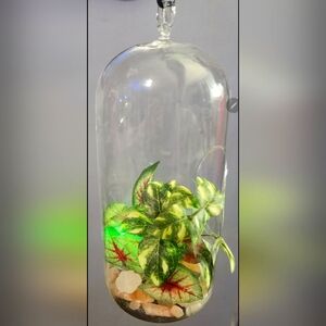 Light up hanging plant under glass